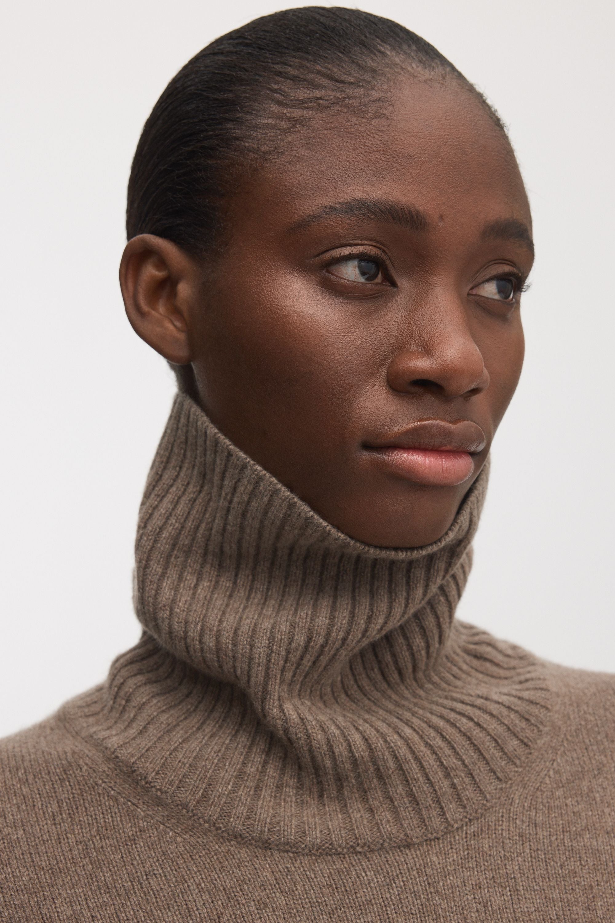 The Cashmere Roll Neck