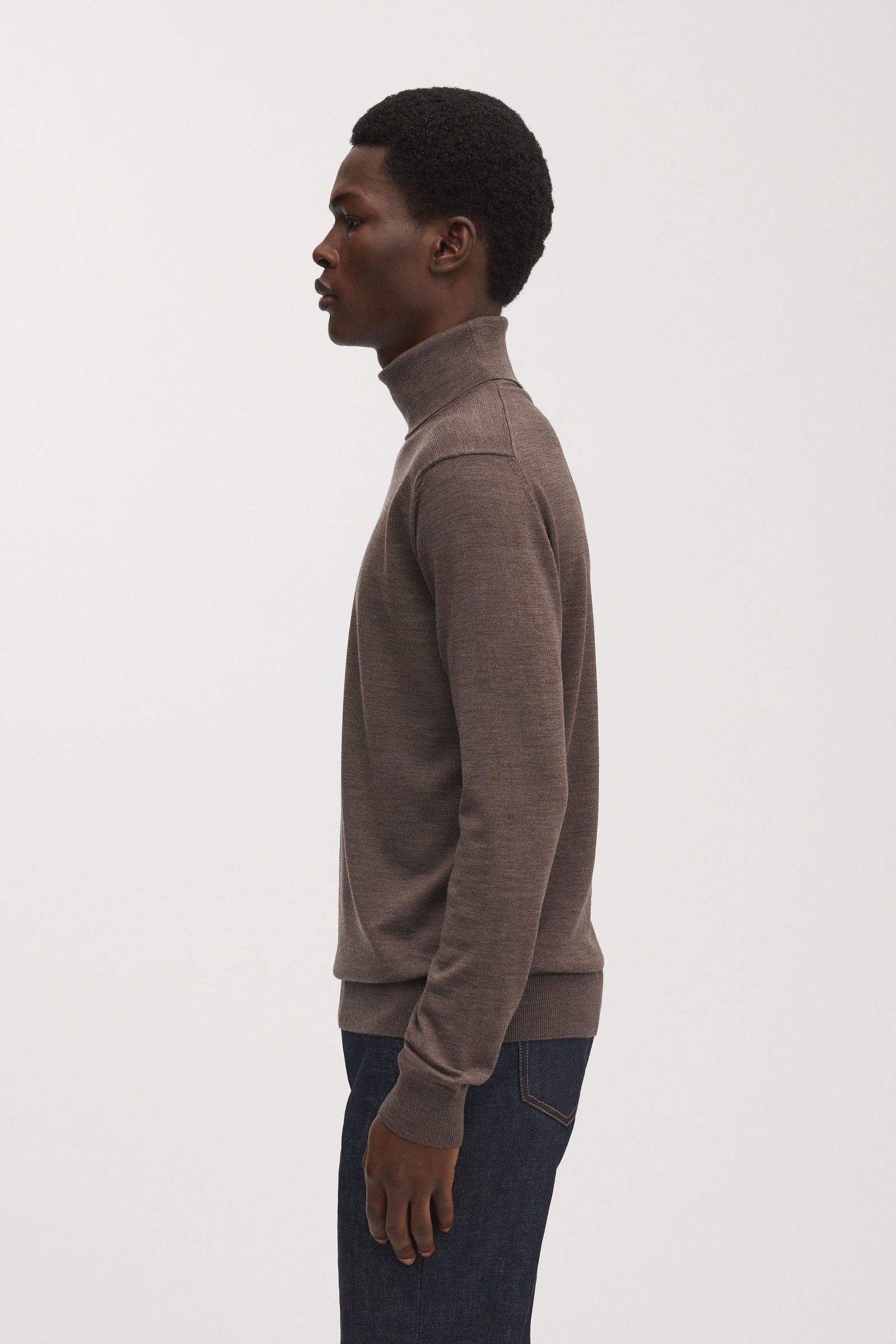 The Merino Roll Neck